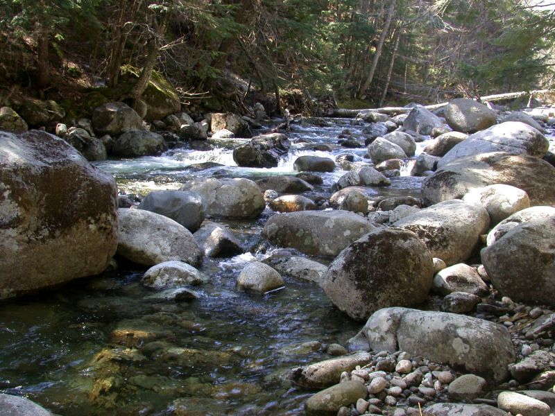 Acid Rain Effects On Lakes And Rivers