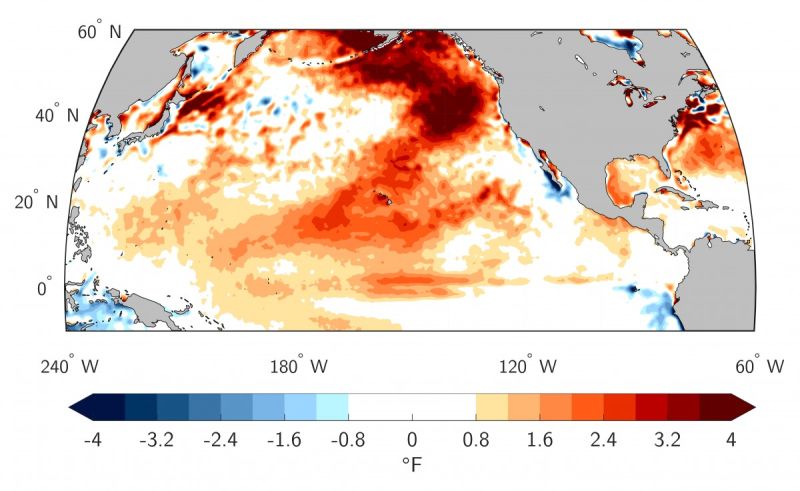 How the Pacific's marine heat wave came back | NSF - National Science  Foundation