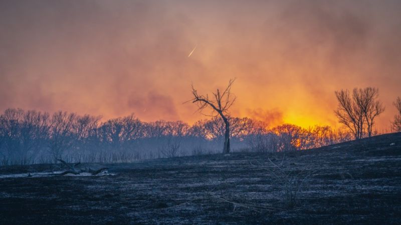 Atmospheric scientists study fires to resolve ice question in climate ...