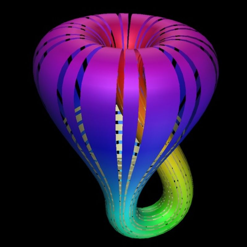 Klein Bottle is a Real Natural in the Zoo of Geometric Shapes- All Images