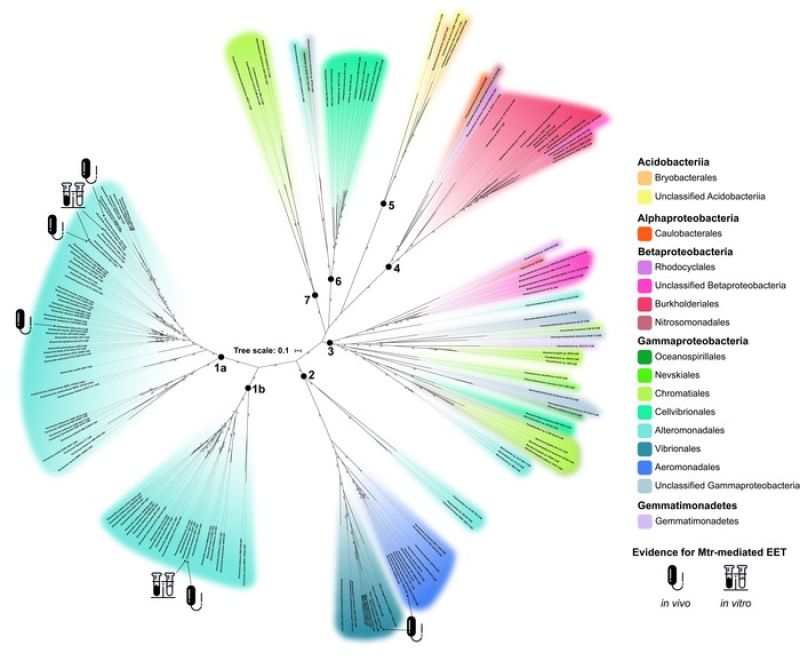 Global genome search sparks new insights into microbes that