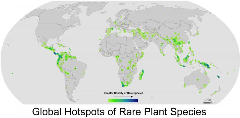 Nearly 40% of plant species are very rare, and vulnerable to climate change  | NSF - National Science Foundation