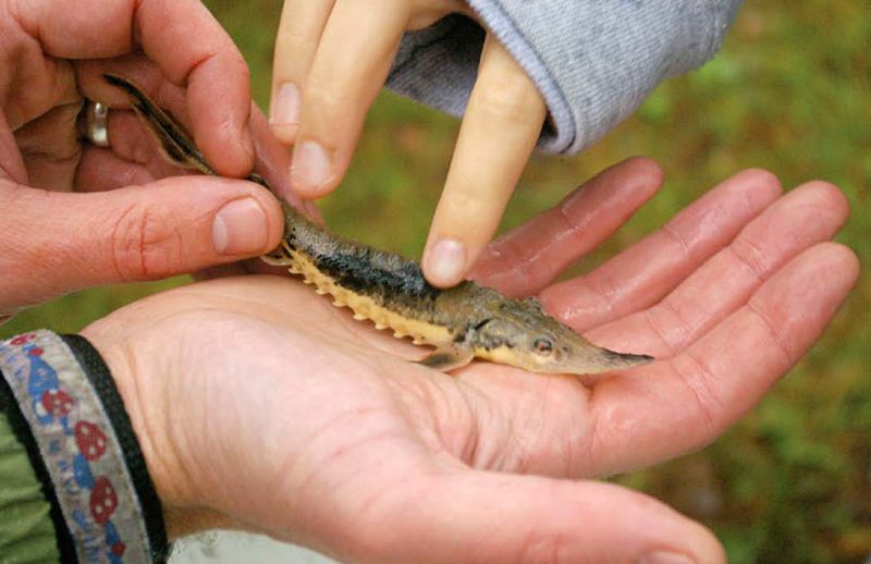 Bridging The Gap Between Scientists And The Public Through