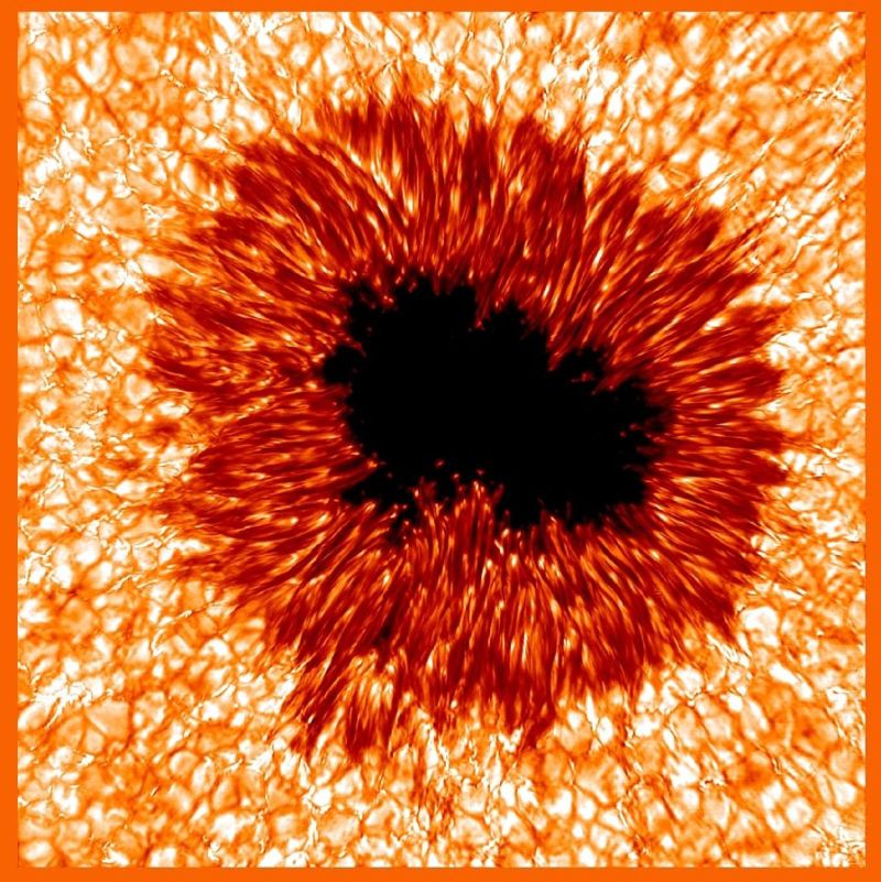 How the Sun Gets Its Spots | NSF - U.S. National Science Foundation