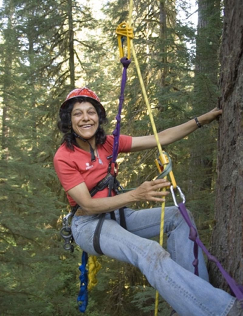 Tree-Climbing Scientist Makes Surprising Discovery