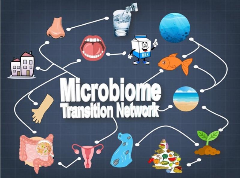 Seven degrees from one trillion species of microbes | NSF - U.S.