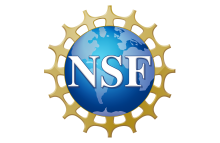 NSF's official logo