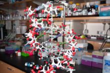 A model of an RNA helix