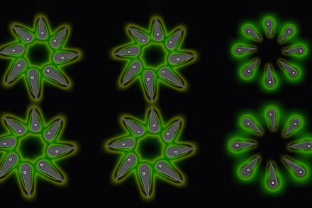 A new platform enables researchers to "grow" halide perovskite nanocrystals with precise control.