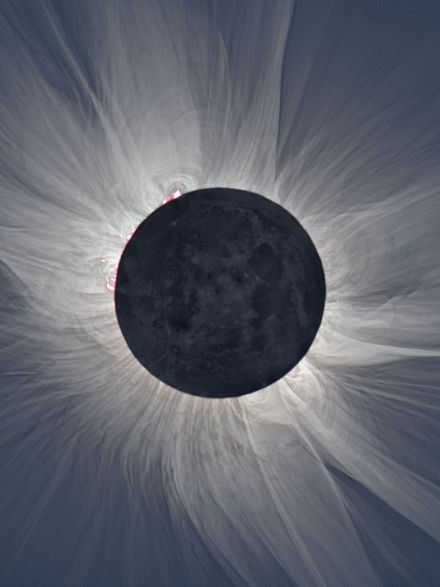 Total Solar Eclipse Offers Rare Chance to Understand the Sun's Atmosphere