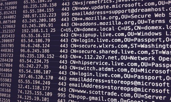 A dark computer monitor displays strings of data.