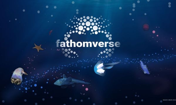 FathomVerse logo