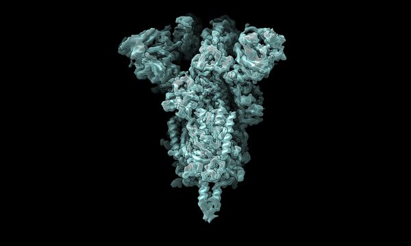 A 3D model of a protein depicting how its polypeptides cluster to take on the protein's overall shape.