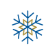 snowflake icon
