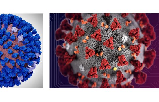 computer simulated models depicting an all-atom model of the influenza virus on the left and the coronavirus on the right.