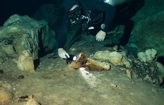 Diver in Madagascar cave with fossil
