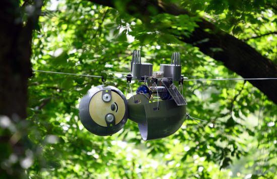 Robot monitoring forest conditions