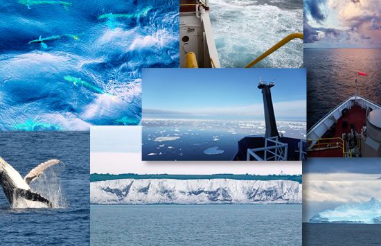Collage of the seven seas