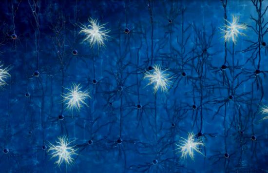 Optogenetics is a revolutionary new research technique that enables scientists to use light to precisely control the activity of neurons in the brain.