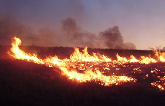 Fire Science