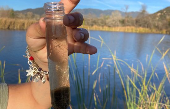 a sample of water within a testing tube