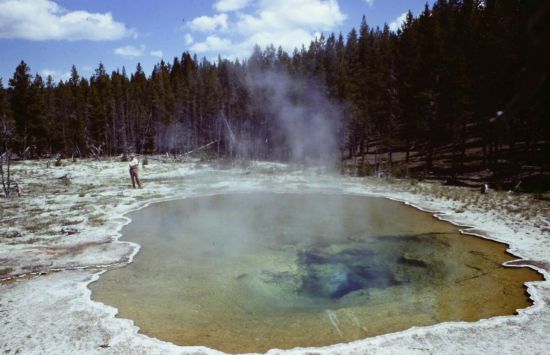 Brock at mushroom pool