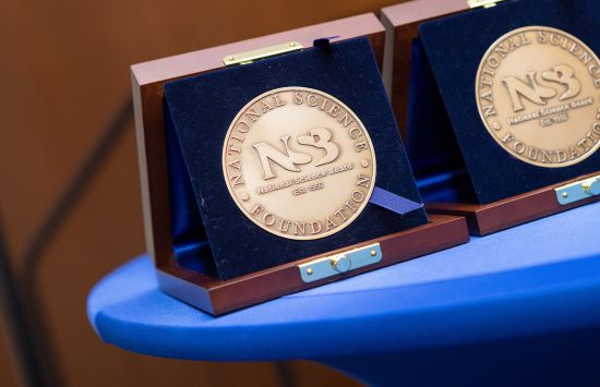 Closeup of two medals with the words 'National Science Board, established 1950' embossed on them