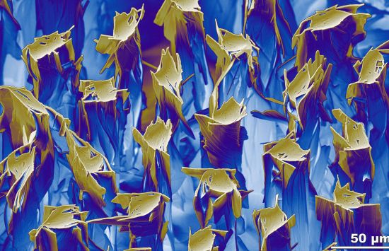 Macroscopic look at special superconducting wire Bi-2212