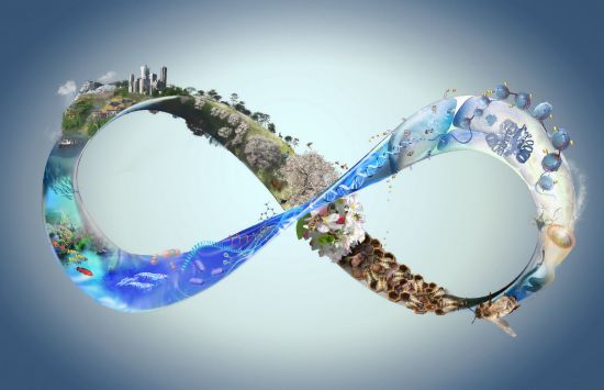 Infinity symbol containing molecules, bees, forests, and cities