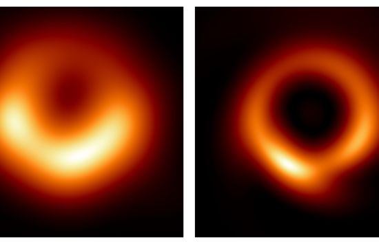 Comparison of EHT and EHT Reconstructed with PRIMO