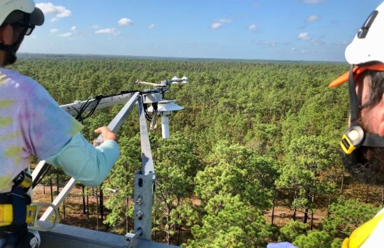 Two biologists stand on top of a research tower above a forest.