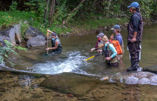 Five students standing in a stream wearing waders and holding electrofishing equipment and nets.
