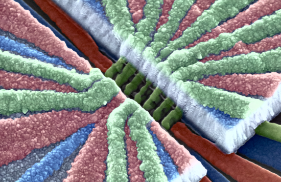 High-resolution image of two-qubit quantum silicon processor with trapped electrons