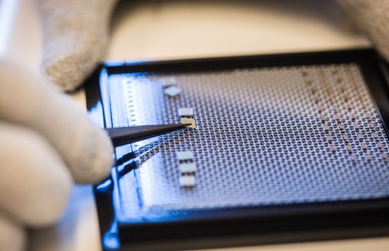 tweezers placing a computer chip on a screen.