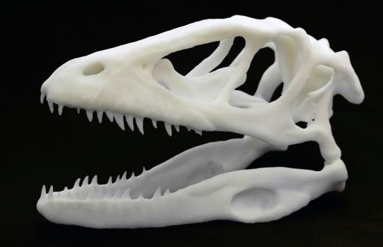 3D printed dinosaur skull
