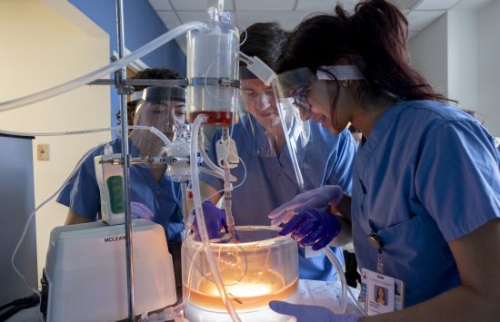 Researchers in blue scrubs looking into a container of orange liquid.