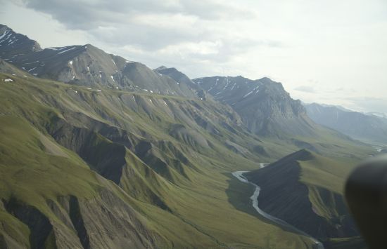 Mossy mountain slopes.