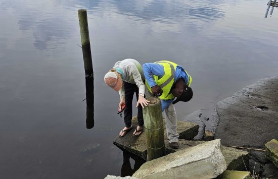 Two researchers install instrumentation on the remnants of an old dock near a body of water.