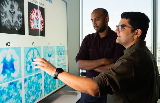 Two researchers examining images of brains projected on a white board.