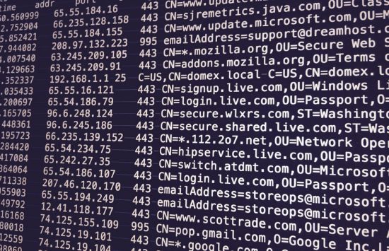 A dark computer monitor displays strings of data.