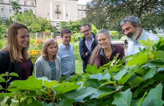 Cornell University, CROPPS, Center for Research on Programmable Plant Systems. Photo of faculty involved in the CROPPS program.