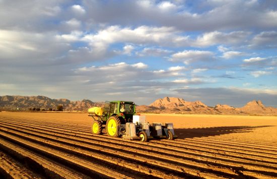 A tractor in a farm field.