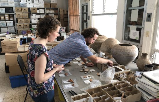 Analyzing pottery sherds from the ancient Mayan port site Vista Alegre