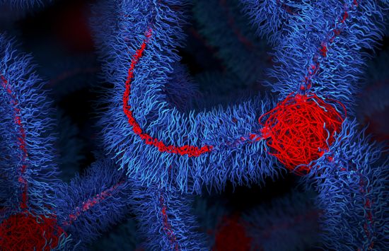 Illustration of polymer material at microscopic level with many squiggly blue lines