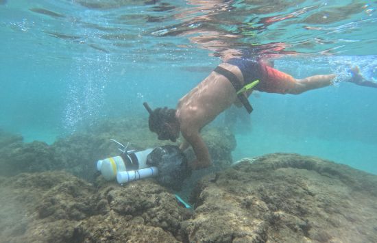 Maui coral reef diver