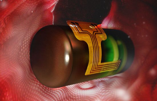 Ingestible bioimpedance sensing device