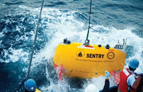Sentry dives to a biological oasis