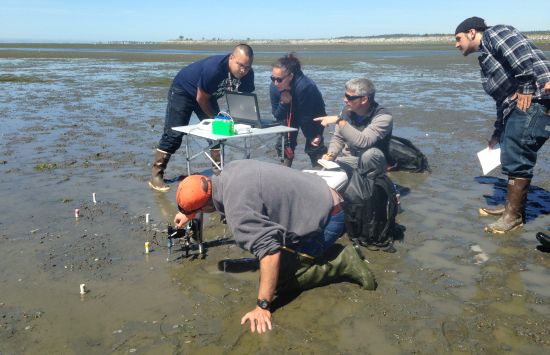 A group of researchers gathered around equipment on a mud flat.