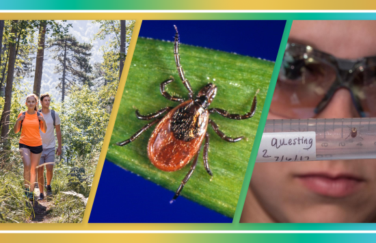 NSF Impacts: Lyme's Disease