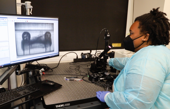 A researcher sits at a bench with a microscope on it and looks at a black-and-white image on a computer screen.